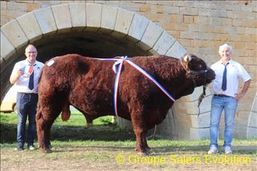 photo non disponible